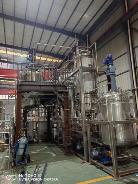 Process plant view